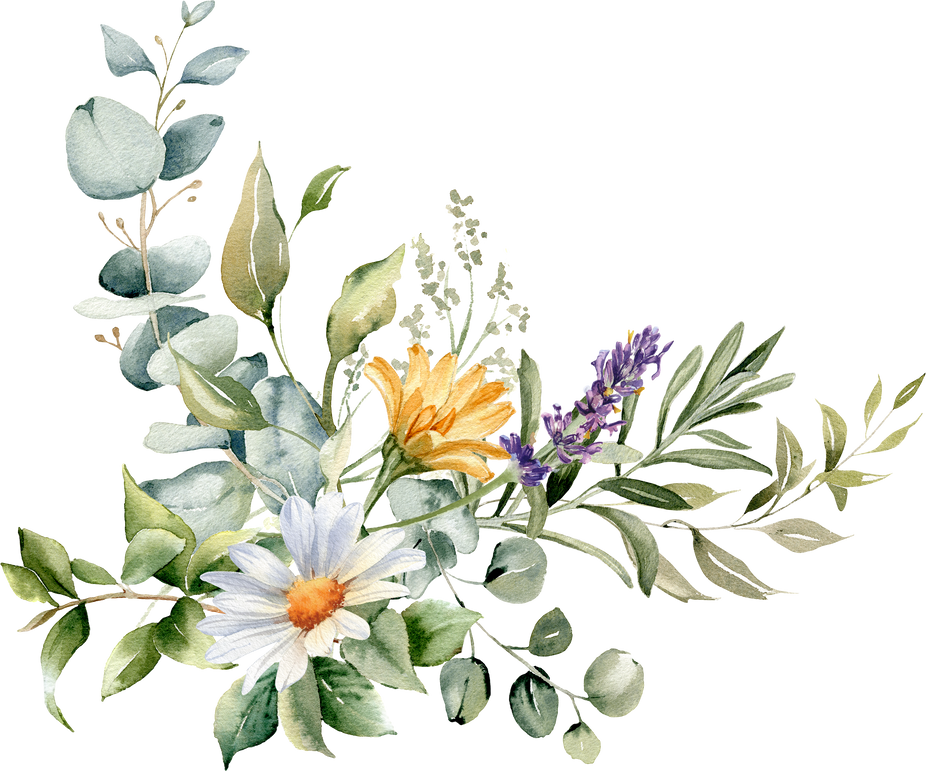 Watercolor flowers and herb bouquet